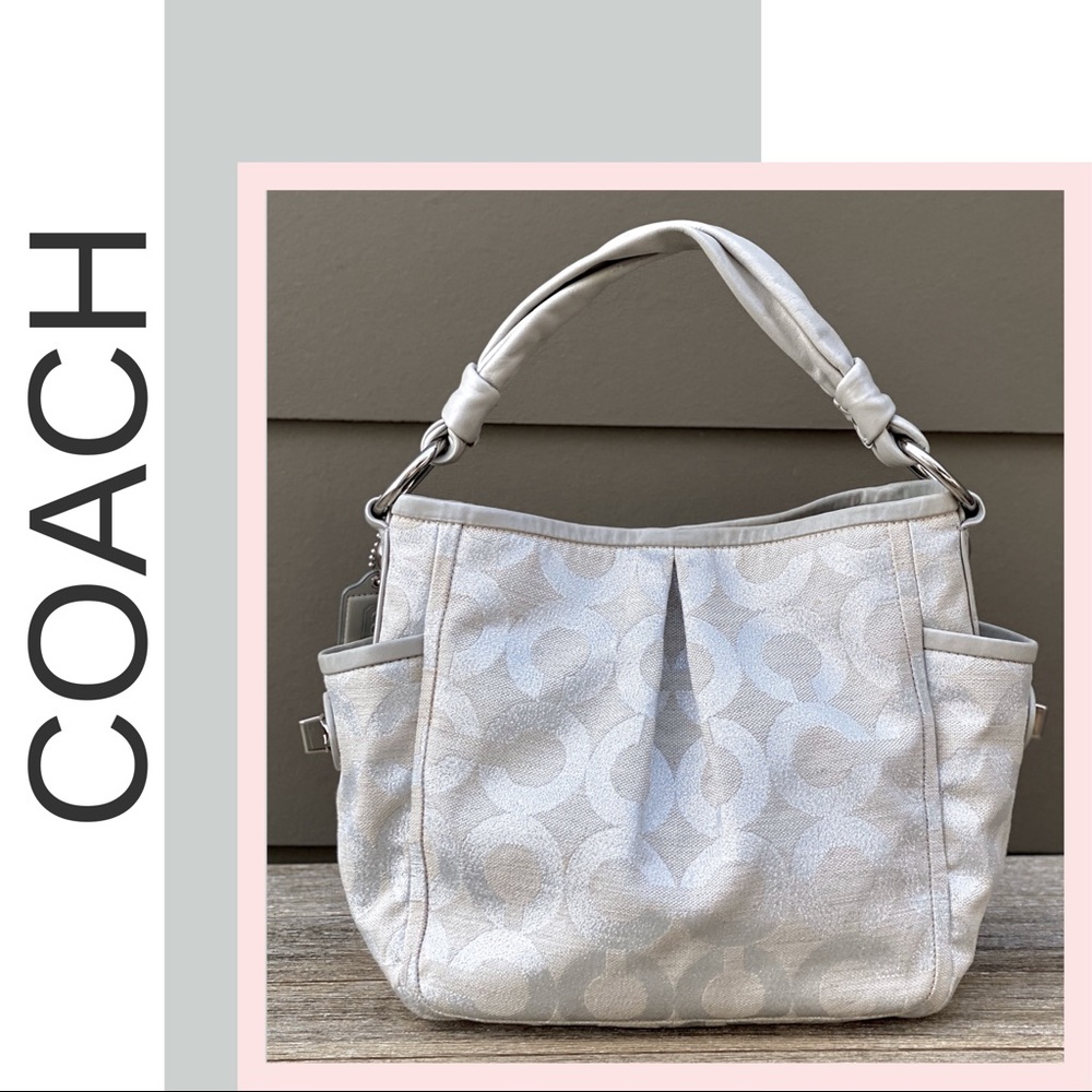 🌟EUC🌟 Coach “Parker” Limited Edition Bag